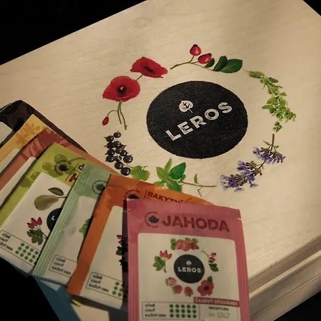 Ξενοδοχείο The Cloud One Πράγα